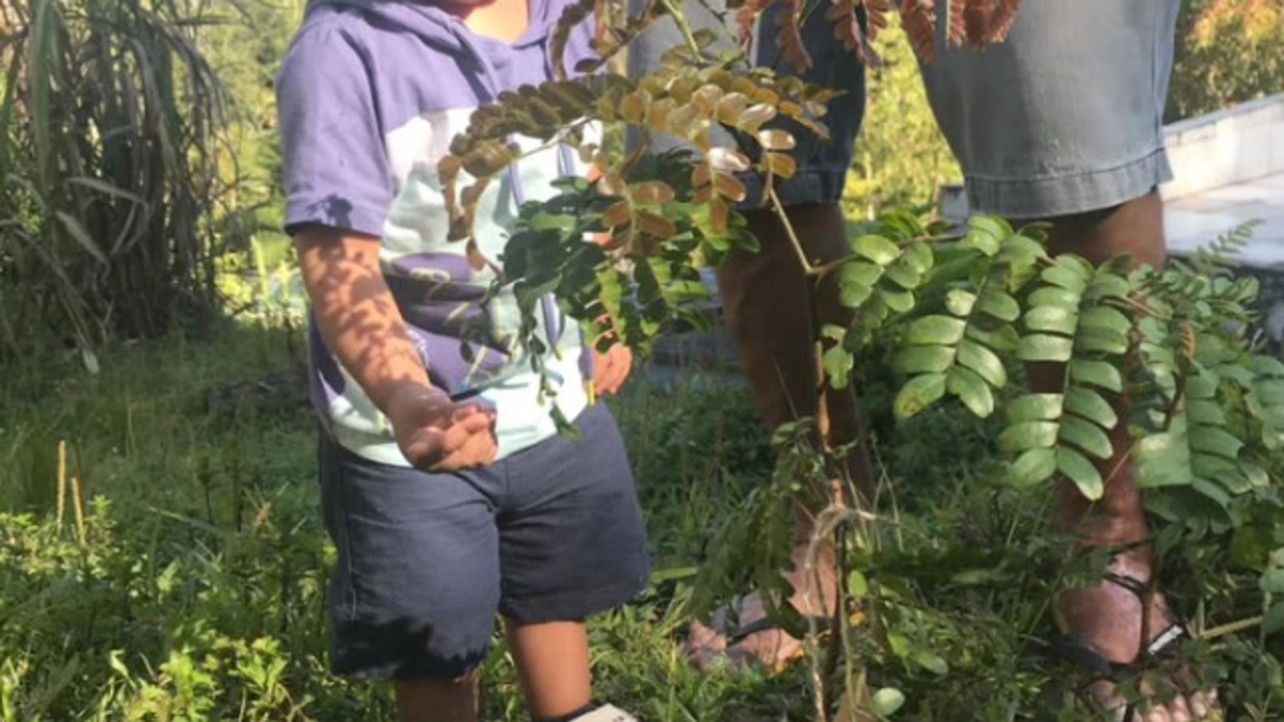 Ação de Sustentabilidade - #PlanteEssaMudança